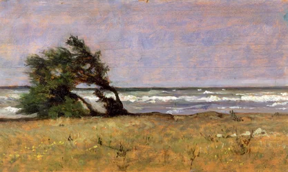 Tempest